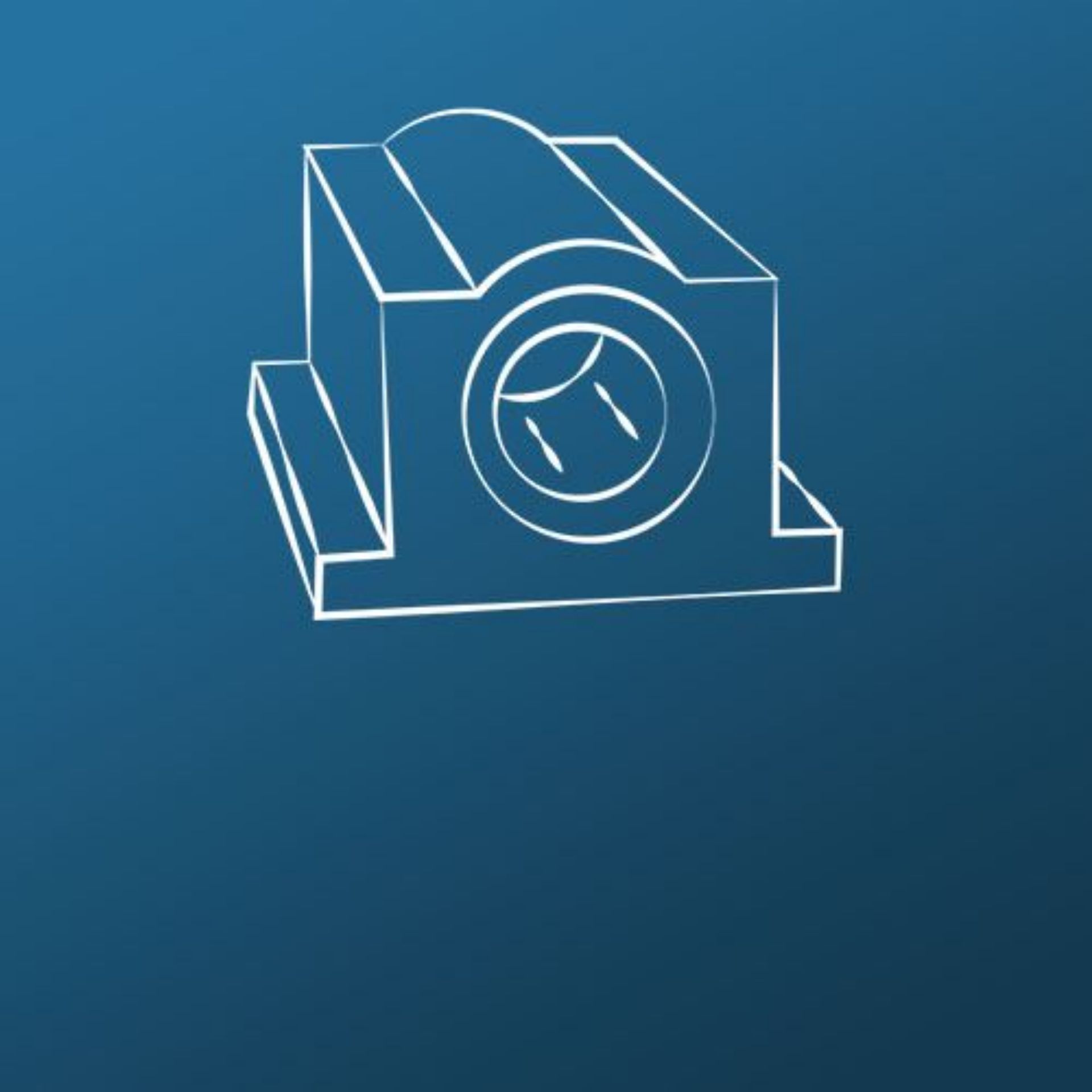 Picture for category Bearings