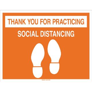 Picture of 170214 BRA